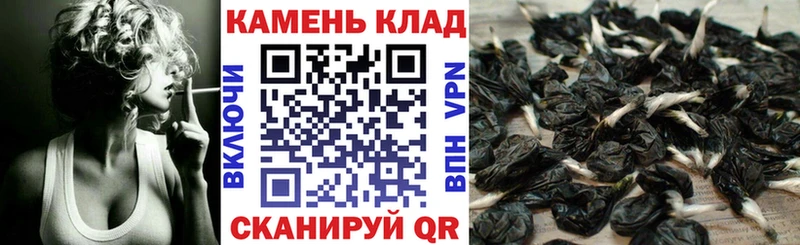 Купить закладки Андреаполь ГАШ Premium