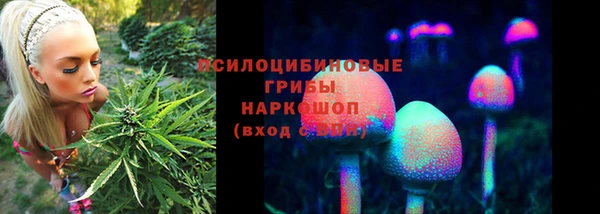ПСИЛОЦИБИНОВЫЕ ГРИБЫ Кодинск