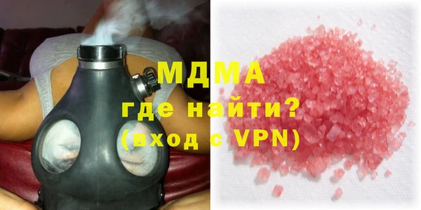 индика Козельск