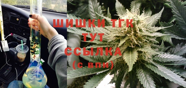 индика Козельск