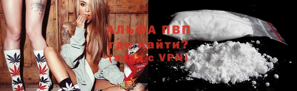индика Козельск