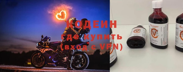 индика Козельск