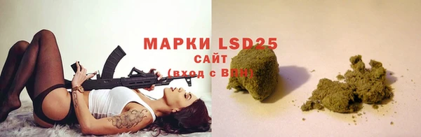 индика Козельск