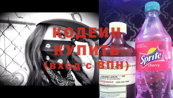 индика Козельск