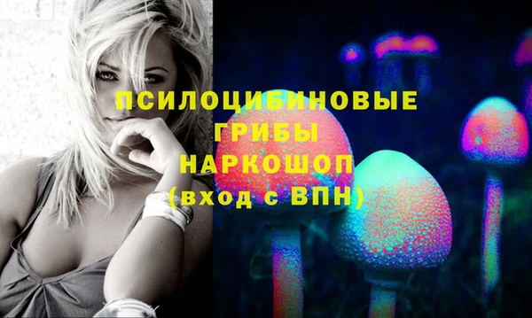твердый Коряжма