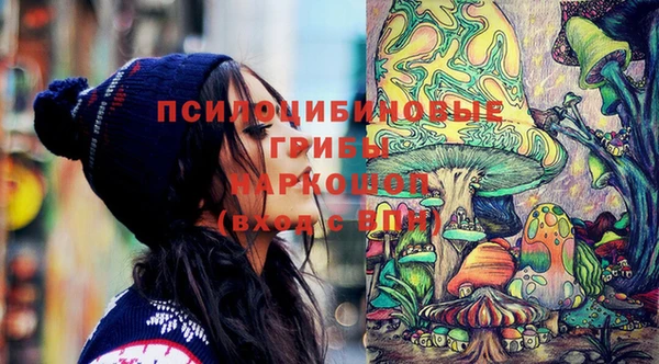 прущий лед Козловка
