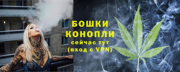 индика Козельск