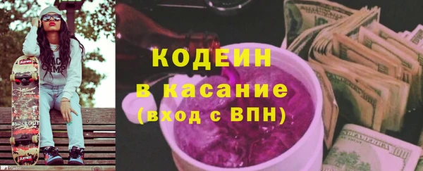 индика Козельск