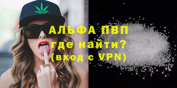 индика Козельск